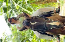 ATV, Horseback, Zipline & Dunn’s River Falls - Ultra Package 