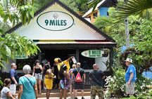 Private Bob Marley Mausoleum Tour in Nine Mile