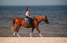 Private Horse Riding on the Beach in Riga