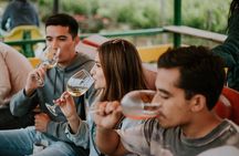 Tractor Pull Around Vineyards and Wine Tasting Tour