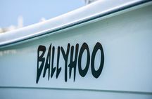 Scuba Dive and Snorkel Private Charter in Puerto Rico