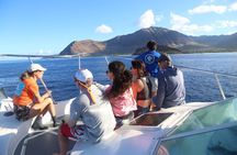Private Biologist-Led Sea'fari (up to 10 passengers)