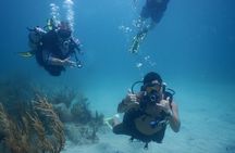 Scuba Dive and Snorkel Private Charter in Puerto Rico
