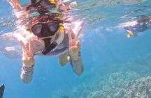 Captain Cook Reef Snorkeling of Kealakekua Bay