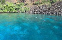 Captain Cook Reef Snorkeling of Kealakekua Bay