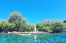 Captain Cook Reef Snorkeling of Kealakekua Bay