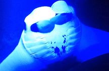 Manta Ray Night Snorkeling Adventure in Kailua-Kona