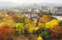 Jeonju Hanok Village Tour