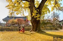 Jeonju Hanok Village Tour