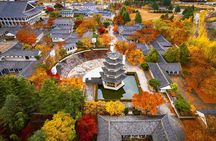 Gyeongju Autumn Foliage Day Tour from Busan with Historic Sites