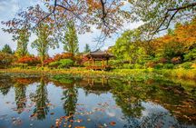 Gyeongju Autumn Foliage Day Tour from Busan with Historic Sites