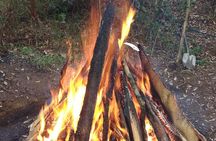 Therapeutic Temazcal: Harmony and Rebirth in the Forest