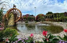 Dubai: Miracle Garden: A Blossoming Wonderland Admission Ticket