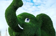 Dubai: Miracle Garden: A Blossoming Wonderland Admission Ticket