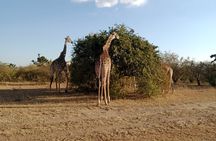 2 Days Adventurous Safari in Amboseli (Mid Range Tour)