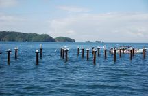 Tour of Los Haitises Montaña Redonda and Yanigua Waterfall in one day
