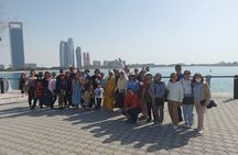 Dubai: Private City Tour 