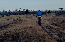 Private E-Bike Tour around Hell's Gate National Park in Naivasha
