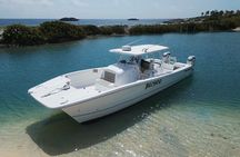 Full-Day Fishing Charter in East Coast, Puerto Rico