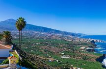 Private nature and culture tour of Teide and northern Tenerife