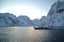 Lofoten RIB Sea Eagle Safari Trollfjord Cruise