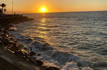 Private Tour of Puerto Vallarta and the Subtropical Forest