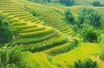 5 Hours Trekking with Terraced Rice Field in Sapa