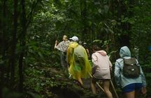 Tropical Rainforest, Hanging Bridges And Jungle Sloths Sanctuary
