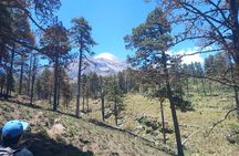 Hiking Tour on the Pico de Orizaba Volcano