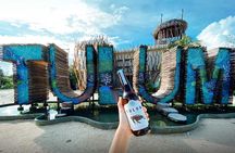 Eco Adventure At 3 Cenotes & 1 Lagoon ! From Cancun & Riviera 