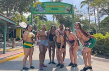 Bob Marley Culture and Dunn's River Falls Experience Montego Bay 
