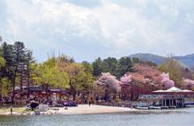 Full Day Private Tour in Nami Island 