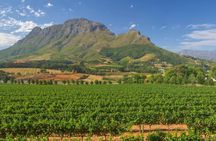 Full Day Winelands Tour