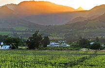 Full Day Winelands Tour