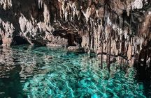 Zapote Cenotes Adventure Tour Prehistoric Park