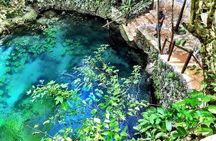 Zapote Cenotes Adventure Tour Prehistoric Park
