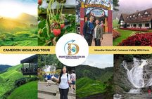 Private Full-Day Cameron Highlands Nature Tour from Kuala Lumpur