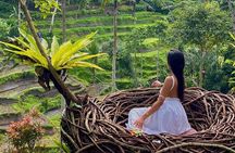 Ubud Highlights -Private Tour,Temples, Waterfalls & Rice terraces