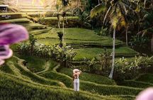 Ubud Highlights -Private Tour,Temples, Waterfalls & Rice terraces