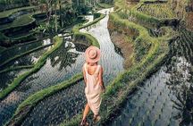 Ubud Highlights -Private Tour,Temples, Waterfalls & Rice terraces