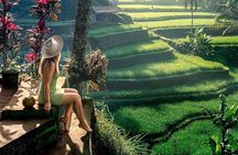 Ubud Highlights -Private Tour,Temples, Waterfalls & Rice terraces