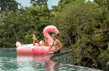 Tlaga Singha Infinity Pool, Jungle swing & Rice Terrace Trip