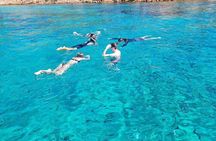 Dolphin Watching Tour with Snorkeling from Olbia