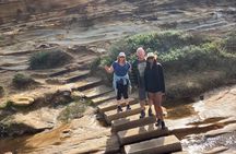 Sydney Private Tour Inc The Royal National Park and Symbio Zoo 