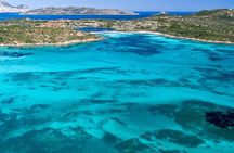 Dolphin Watching Boat Excursion to Figarolo Island from Olbia