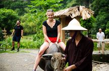 Ninh Binh eco group tour - Buffalo riding, rice planting, fishing
