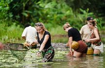 Ninh Binh eco group tour - Buffalo riding, rice planting, fishing