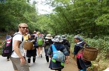 Sapa 2-Day Trekking & Homestay Overnight Tour by Bus from Hanoi 