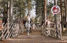 Riding Tour with Finnhorses at Santa Claus Village