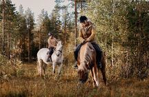 Late Night Ride with Finnhorses